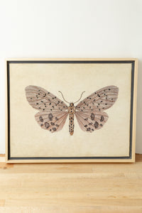 Trovelore Tiger Moth Thread Art Cadeau