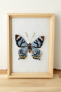 Trovelore Fluted Swallowtail Beaded Art Cadeau
