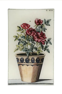 Shop John Derian | Cadeau