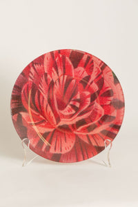 Dianthus Red | 8"