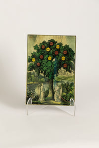 Twelve Manner Fruit Tree Glass Mini Tray | 6.5" x 4.5"