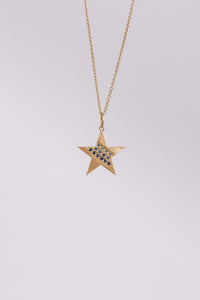 Charm | Hawk 14K Gold Star Necklace